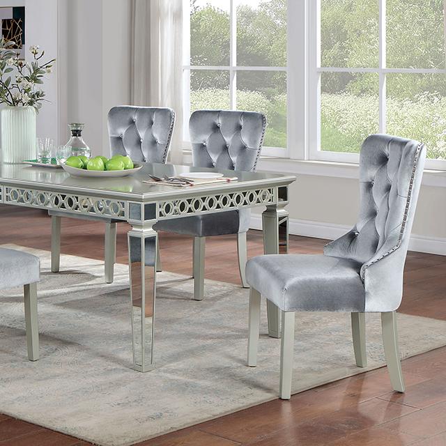 Silver/Dark Gray