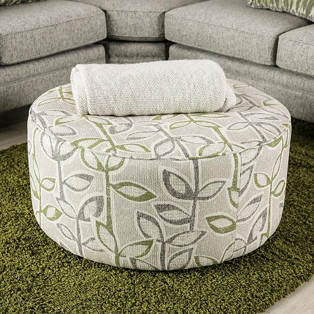 Gray/Green