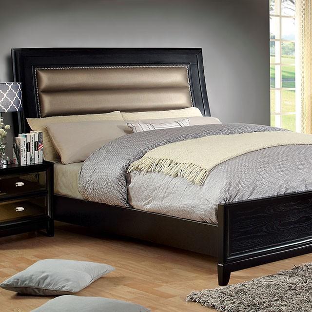 Black/Taupe