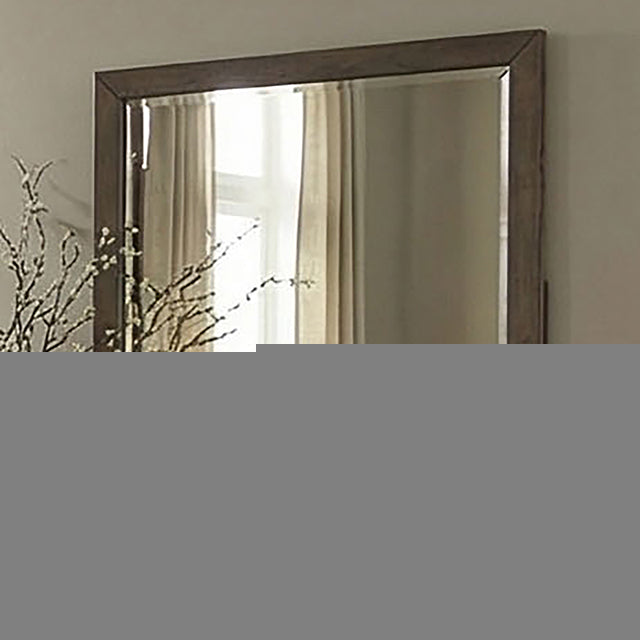 Newent Beveled Mirror
