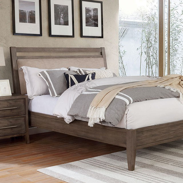 Warm Gray/Beige